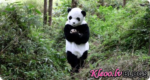 Panda Diet Walkthrough For Return