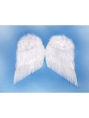 Angels wings, white, 55 x 45cm Angels wings, white, 55 x 45cm