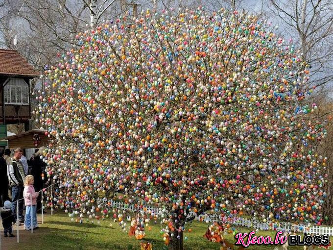 10000 пасхальных яиц на дереве