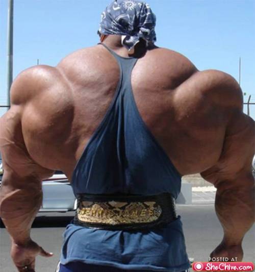 body builder 0 Muscles increase while brain cells diminish (19 photos) 