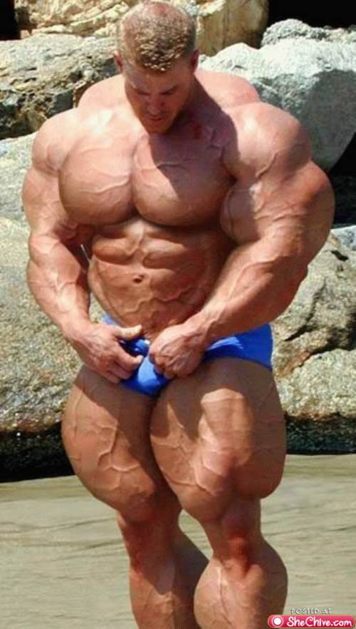 body builder 1 Muscles increase while brain cells diminish (19 photos) 