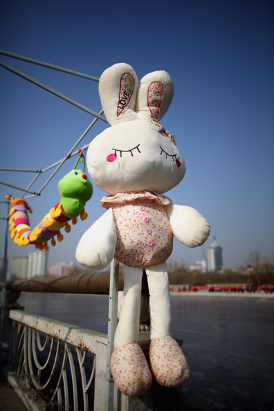 Chinese+Celebrate+Year+Rabbit+jfFmnKUxwb2l.jpg