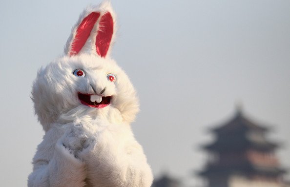 Chinese+Celebrate+Year+Rabbit+wTx4Qgcbvcfl.jpg