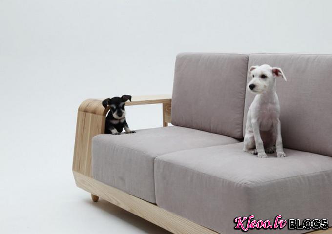 Dog-House-Sofa2-640x_1.jpg