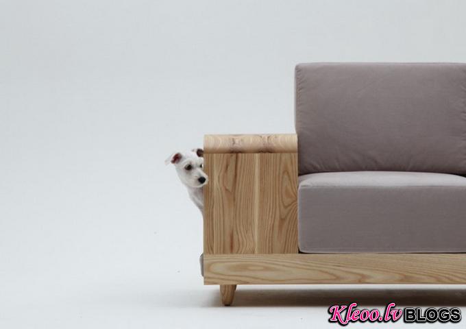 Dog-House-Sofa2-640x_5.jpg