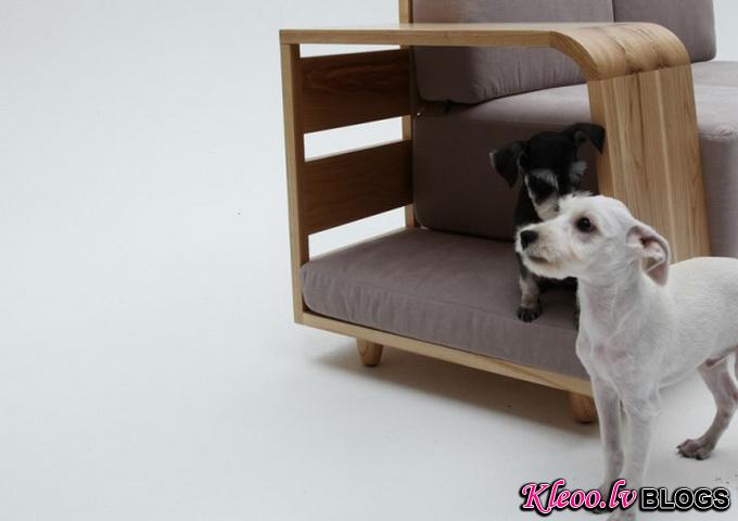 Dog-House-Sofa2-640x_7.jpg