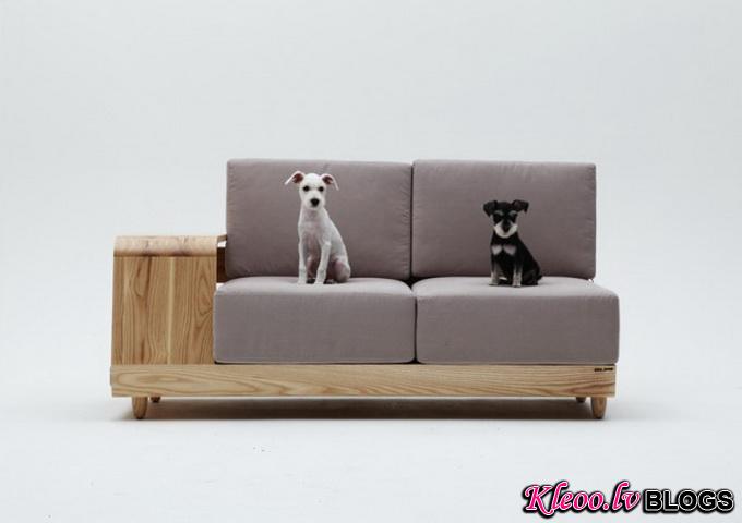 Dog-House-Sofa2-640x_8.jpg