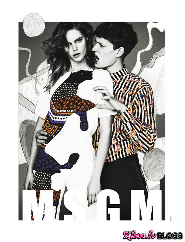 Msgm_sogC.jpg