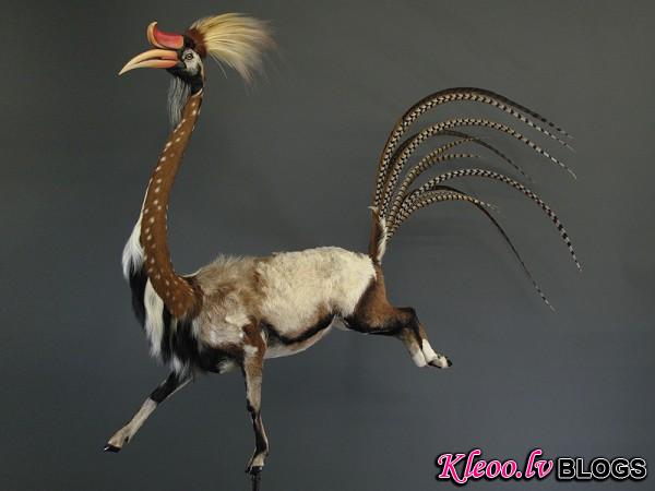 Enrique-Gomez-de-Molina-Taxidermy-Hybrids-1-600x450.jpg