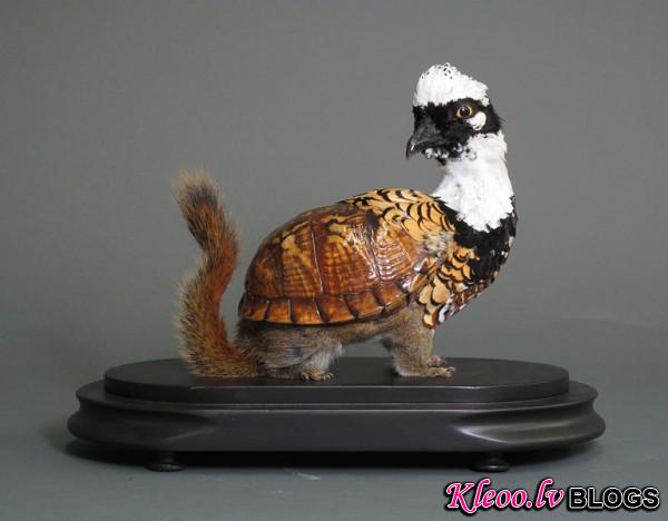 Enrique-Gomez-de-Molina-Taxidermy-Hybrids-2-600x468.jpg