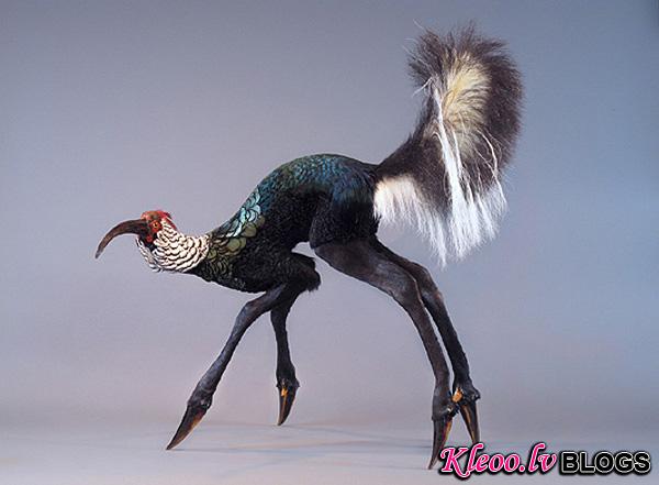 Enrique-Gomez-de-Molina-Taxidermy-Hybrids-3.jpg