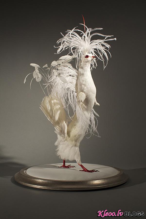 Enrique-Gomez-de-Molina-Taxidermy-Hybrids-7.jpg