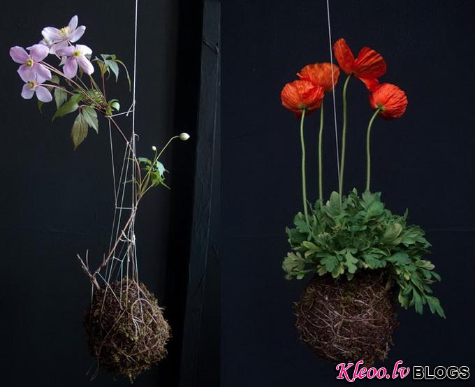 string-gardens-11_.jpg