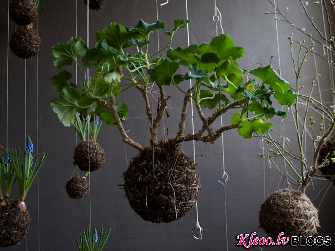 string-gardens-4_.jpg