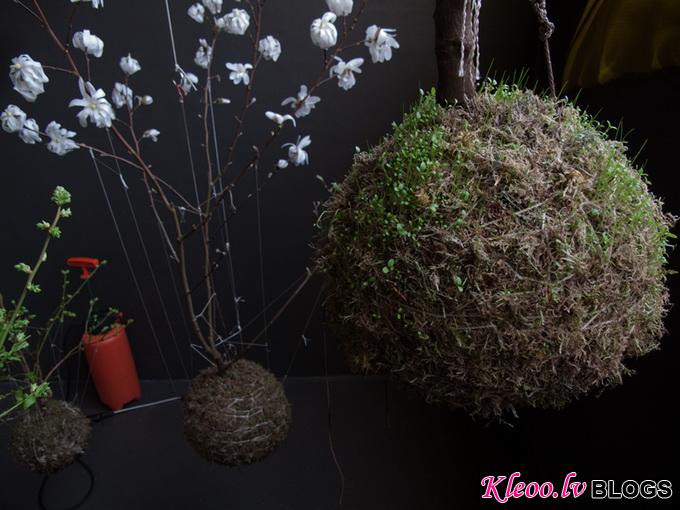 string-gardens-7_.jpg