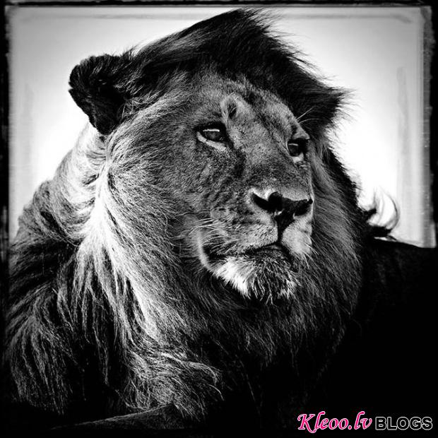 LaurentBaheux09.jpg