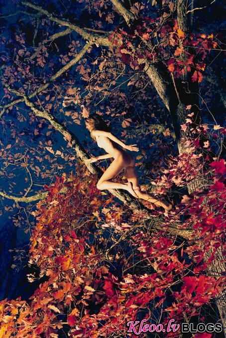 RyanMcginley36.jpg