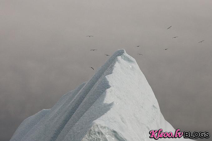 melt-portrait-of-an-iceberg-08_.jpg