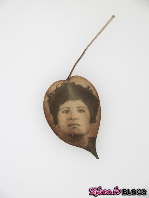 Binh Danh 23.jpg