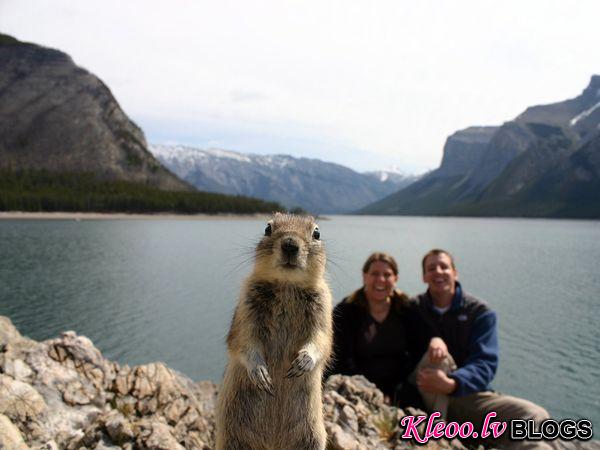 Photo: Squirrel with mountains in background