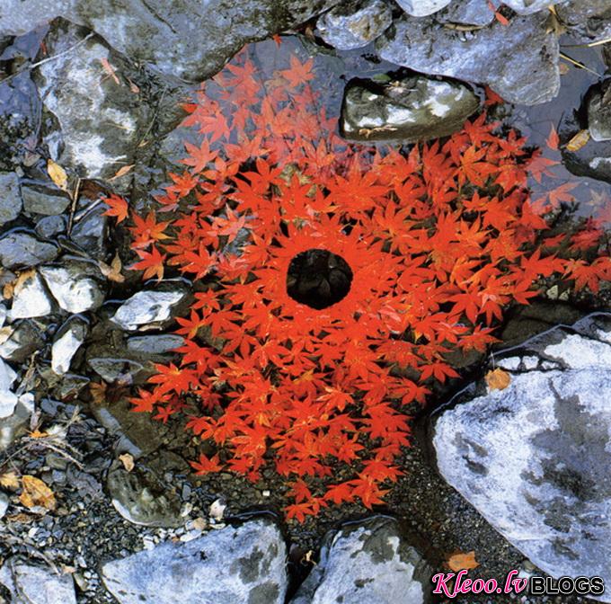 andygoldsworthy22.jpg