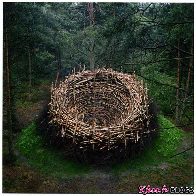 andygoldsworthy26.jpg