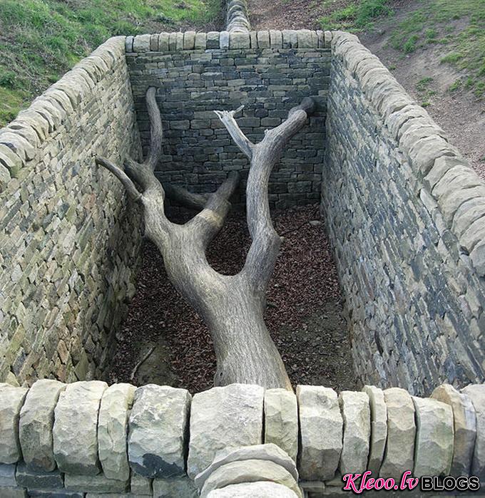 andygoldsworthy29.jpg