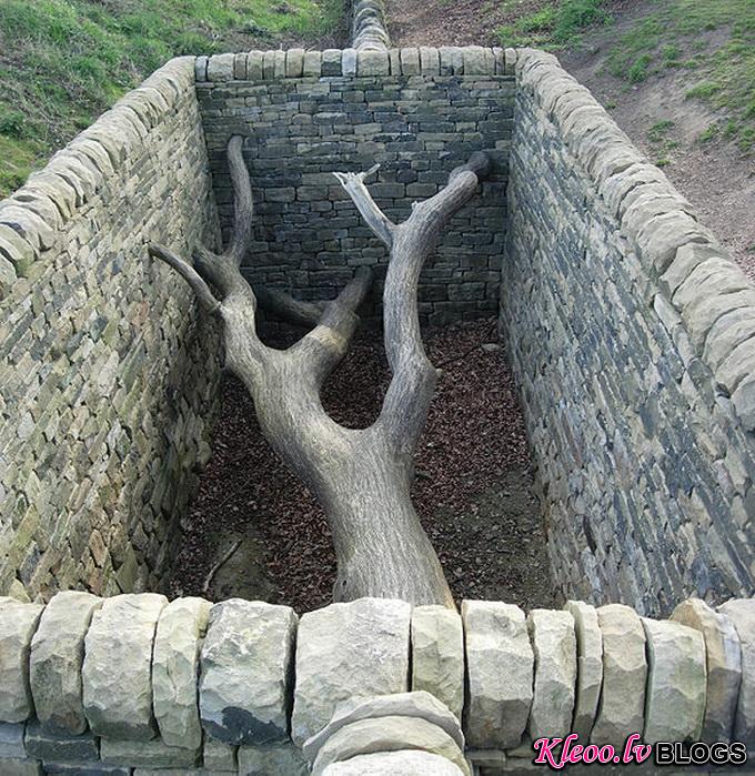 andygoldsworthy29.jpg