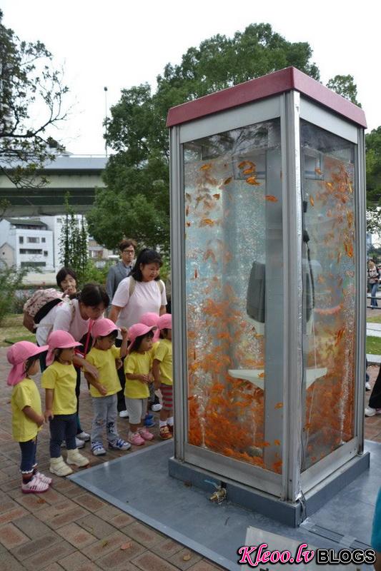 kingyobufishtankphonebooth_2.jpg