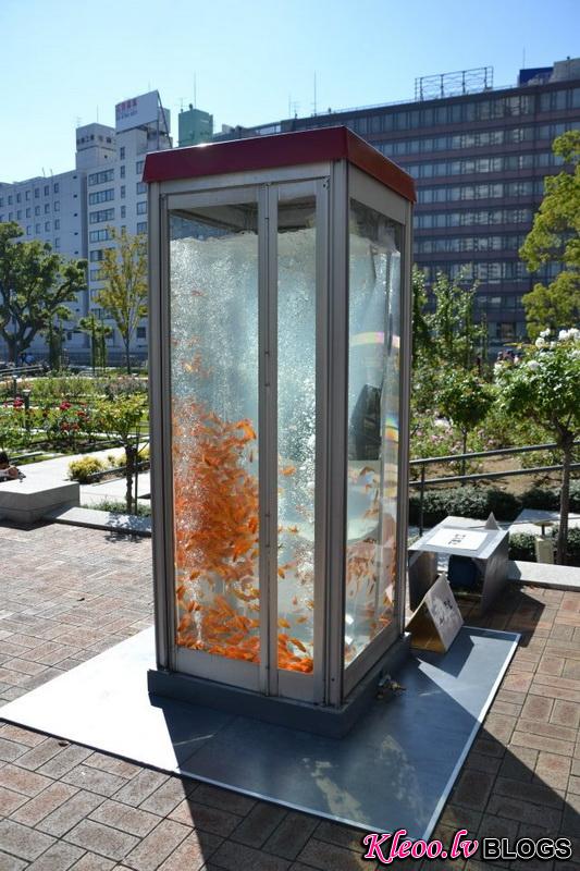 kingyobufishtankphonebooth_1.jpg