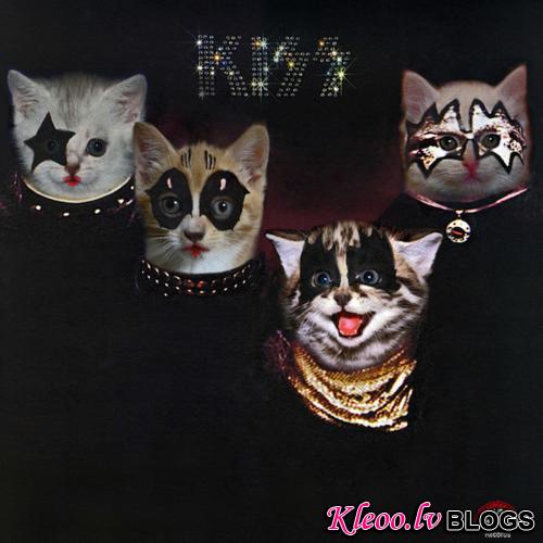 KittenCovers04.jpg