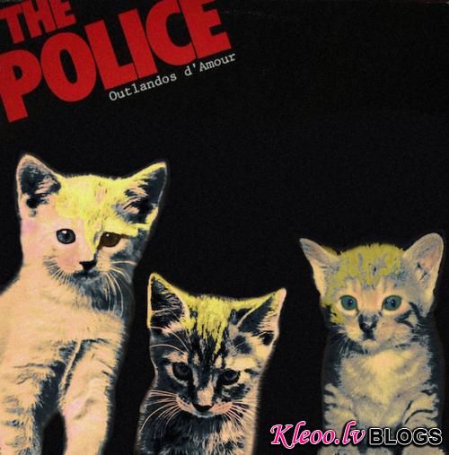 KittenCovers06.jpg