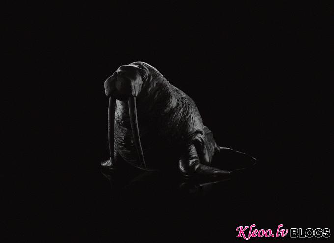 the-walrus-chair-03.jpg