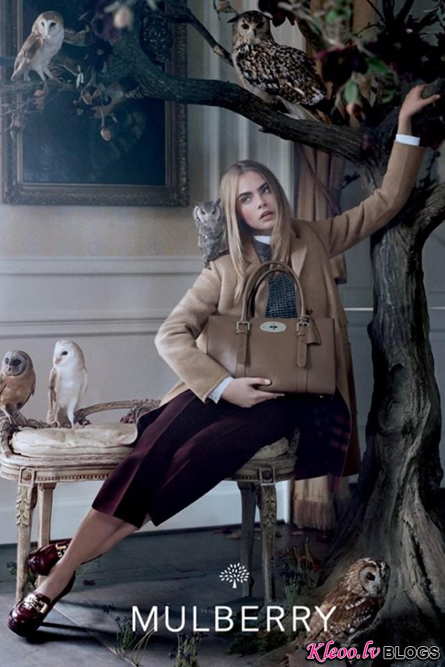 mulberry-fall3.jpg