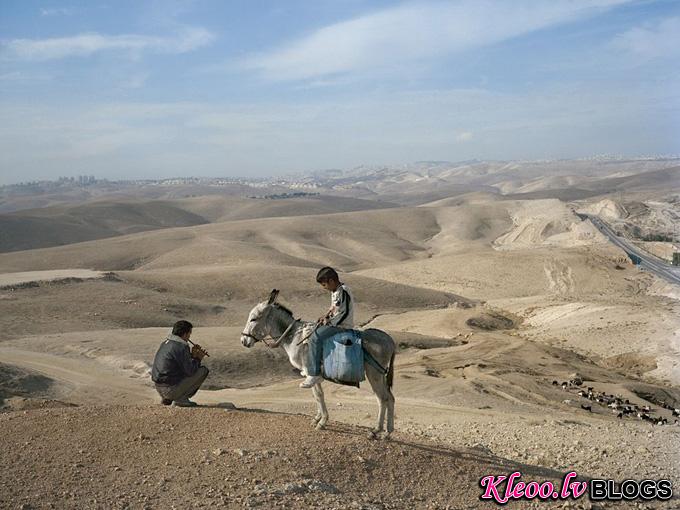 herder-goats-jerusalem_32755_990x742.jpg