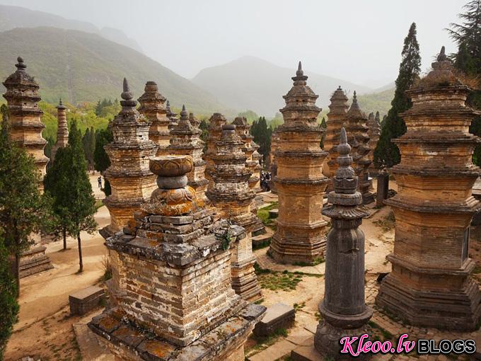 pagoda-forest-china_32861_990x742.jpg