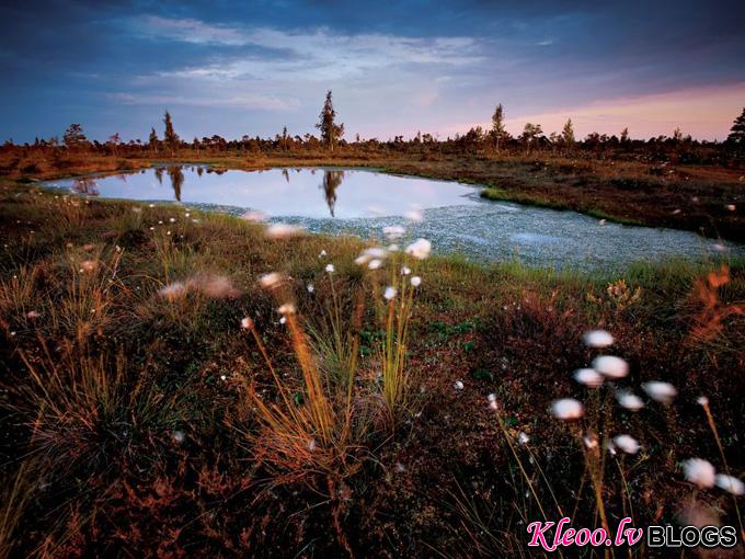 kemeri-national-park-latvia_33988_990x742.jpg