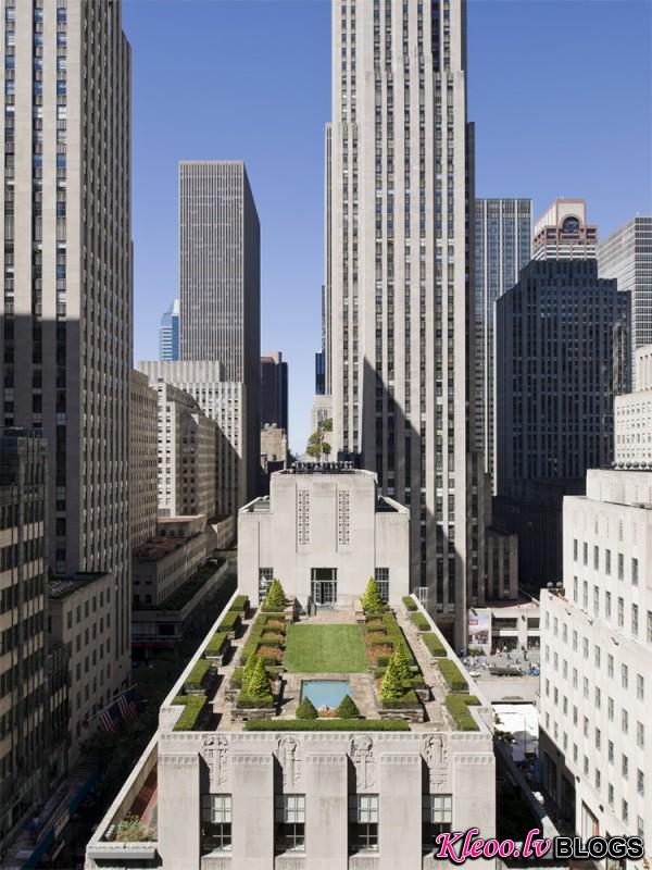 Charles_de_vaivre_ny-rooftop-600x800.jpg