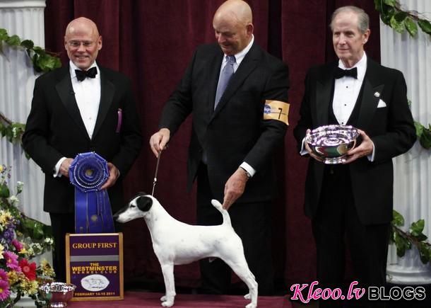 westminster_dog_kennel_show_35.jpg