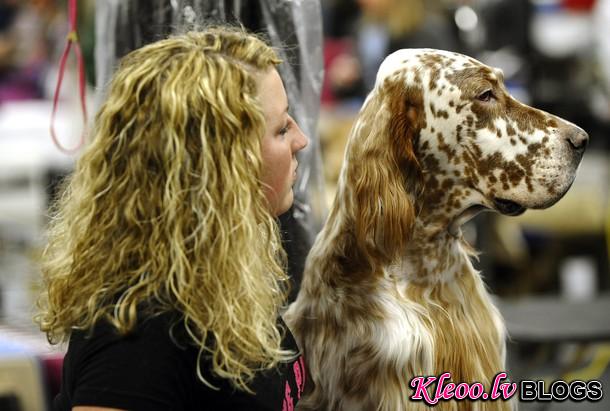 westminster_dog_kennel_show_44.jpg