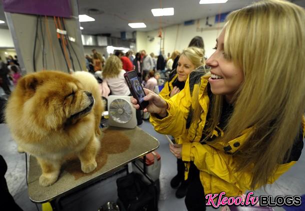 westminster_dog_kennel_show_54.jpg