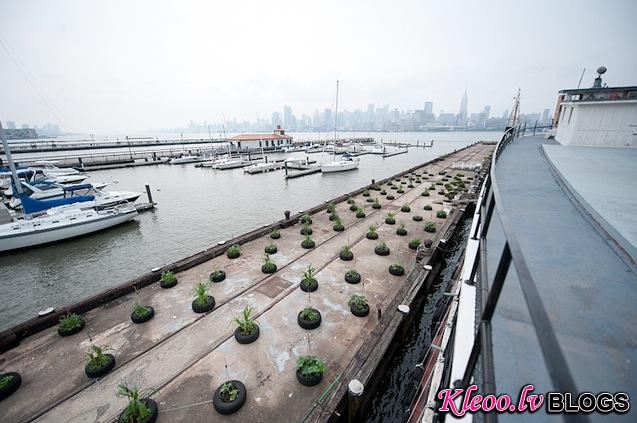 trendhome-historic-ellis-island-ferry-11.jpg