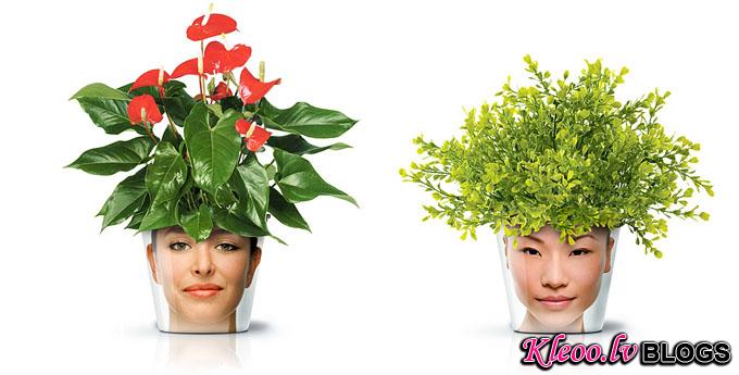 Flower-Pots-by-Good-Creative-DESIGNSCENE-net-01.jpg