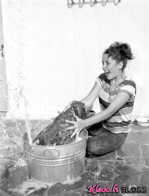 Elizabeth Taylor with dog.jpg