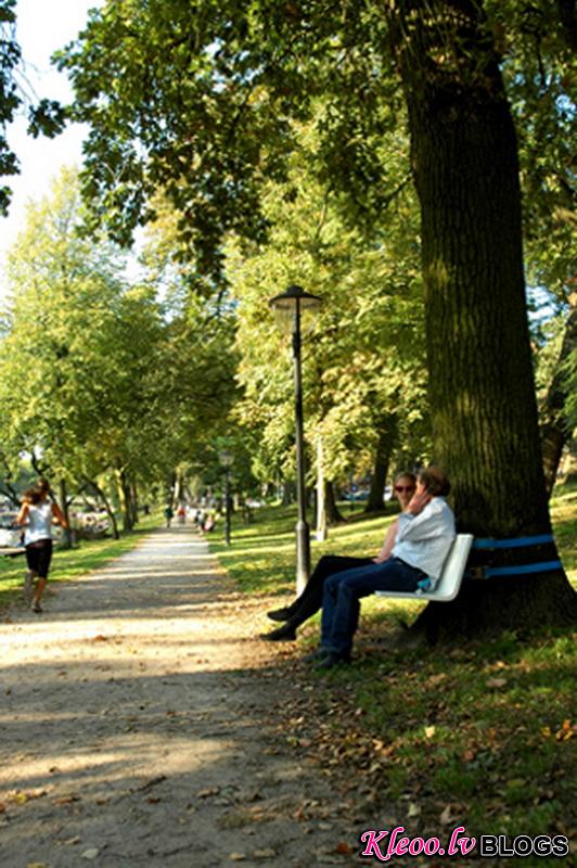 the-tree-bench-03.jpg