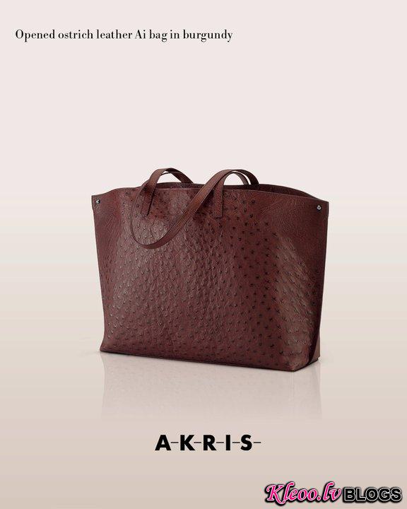 akrisaw11handbagscollection5.jpg