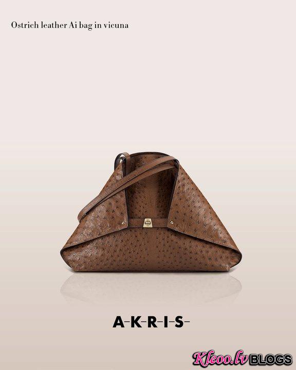 akrisaw11handbagscollection6.jpg