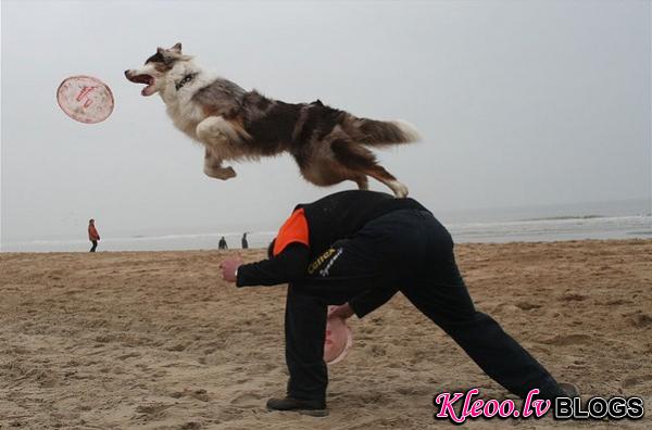 3dog-beachjpg.img_assist_custom-600x397.jpg