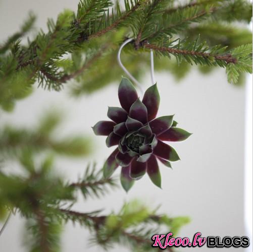 Succulent Ornament 03.jpg