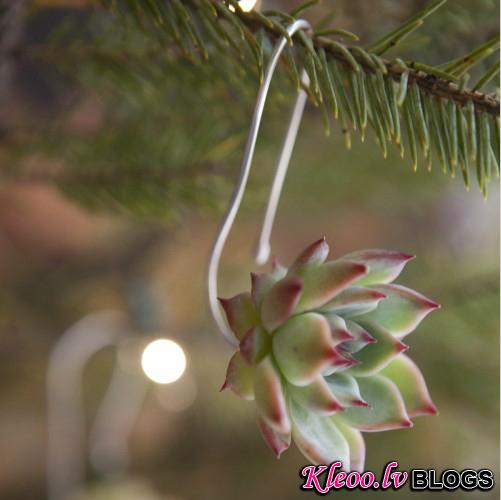 Succulent Ornament 04.jpg